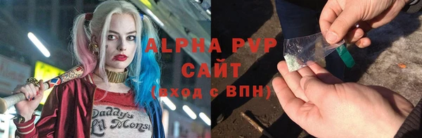 дурь Осташков
