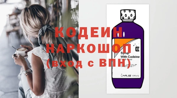 дурь Осташков