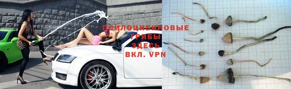 Альфа ПВП Вуктыл