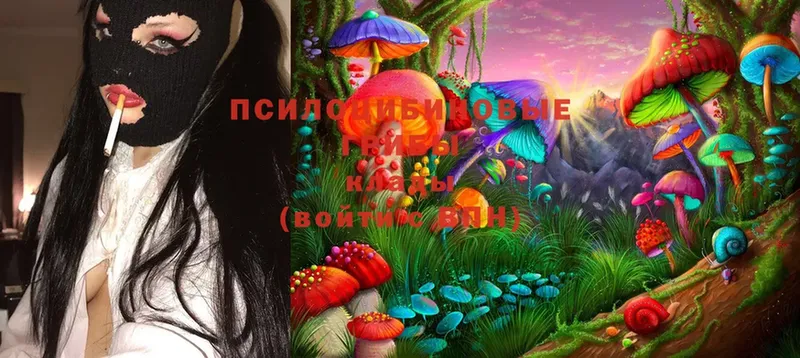 гидра маркетплейс  Котово  Псилоцибиновые грибы Magic Shrooms  как найти закладки 