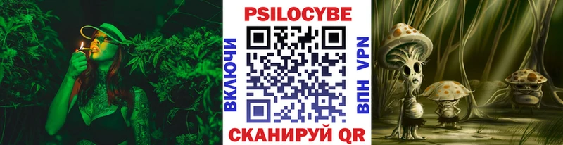 Псилоцибиновые грибы Cubensis  MEGA ONION  Котово 
